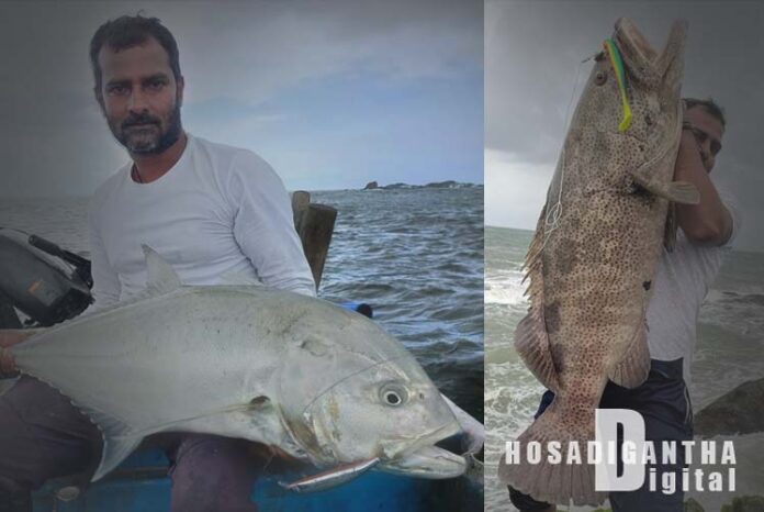 ಮಲ್ಪೆಯಲ್ಲಿ ಗಾಳಕ್ಕೆ ಸಿಕ್ತು ಬೃಹತ್ ಗಾತ್ರದ ಮೀನು: ಮಾರುಕಟ್ಟೆಯಲ್ಲಿ ಈ ಮೀನಿಗಿದೆ ಭಾರೀ ಬೇಡಿಕೆ!