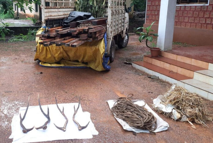 ಅಕ್ರಮ ಕಡವೆ ಕೊಂಬು, ಜಂಗ್ಲಿ ಕಟ್ಟಿಗೆ ಸಾಗಾಟ: ಆರೋಪಿಗಳ ಬಂಧನ