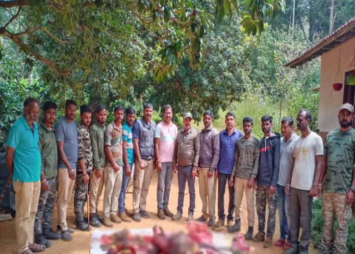 ಕಡವೆ ಬೇಟೆ ಪ್ರಕರಣ: 60 ಕೆಜಿ ಮಾಂಸ ವಶ-ಆರೋಪಿಗಳು ಪರಾರಿ
