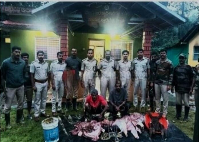 ಅಕ್ರಮವಾಗಿ ಕಡವೆ ಬೇಟೆ: ಇಬ್ಬರ ಬಂಧನ