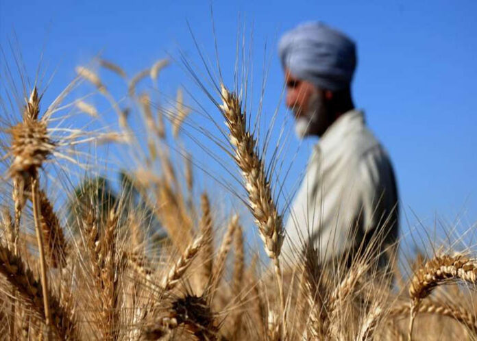 Relief funds for more than 14 lakh farmers' accounts: CM Bommai