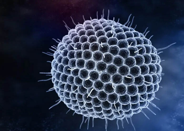 MBBS student dies of high fever in Maharashtra, case of H3N2 virus?