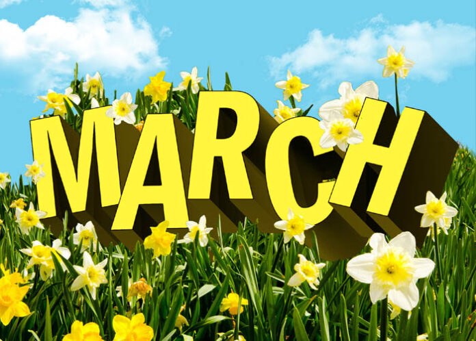MARCH BORNS | ಮಾರ್ಚ್‌ನಲ್ಲಿ ಹುಟ್ಟಿದವರಿಗೆ ಕರುಣೆ ಜಾಸ್ತಿಯಂತೆ, ಇದ್ದದ್ದೆಲ್ಲಾ ಕೊಟ್ಟುಬಿಡ್ತಾರೆ.. ಇನ್ಯಾವ ಗುಣಗಳಿವೆ ನೋಡಿ..