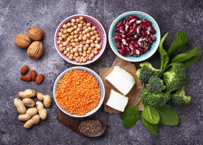 PROTEIN RICH | ವೆಜಿಟೇರಿಯನ್ಸ್‌ಗಾಗಿ ಪ್ರೋಟೀನ್‌ಯುಕ್ತ ಆಹಾರಗಳ ಲಿಸ್ಟ್ ಇಲ್ಲಿದೆ..