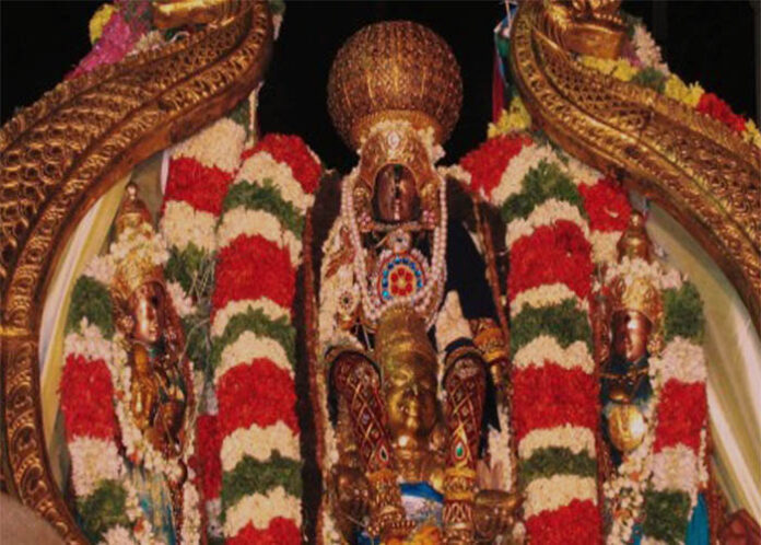 ಮೇಲುಕೋಟೆ ಚೆಲುವನಾರಾಯಣಸ್ವಾಮಿ ವೈರಮುಡಿ ಬ್ರಹ್ಮರಥೋತ್ಸವ, ಭಕ್ತಿಯಲ್ಲಿ ಮಿಂದೆದ್ದ ಲಕ್ಷಾಂತರ ಭಕ್ತರು
