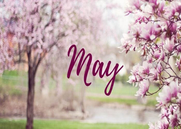 MAY BORNS | ಮೇ ತಿಂಗಳಲ್ಲಿ ಹುಟ್ಟಿದವರನ್ನು ಕಣ್ಮುಚ್ಚಿ ನಂಬಬಹುದಂತೆ, ಇನ್ಯಾವ ಗುಣಗಳಿವೆ ನೋಡಿ..